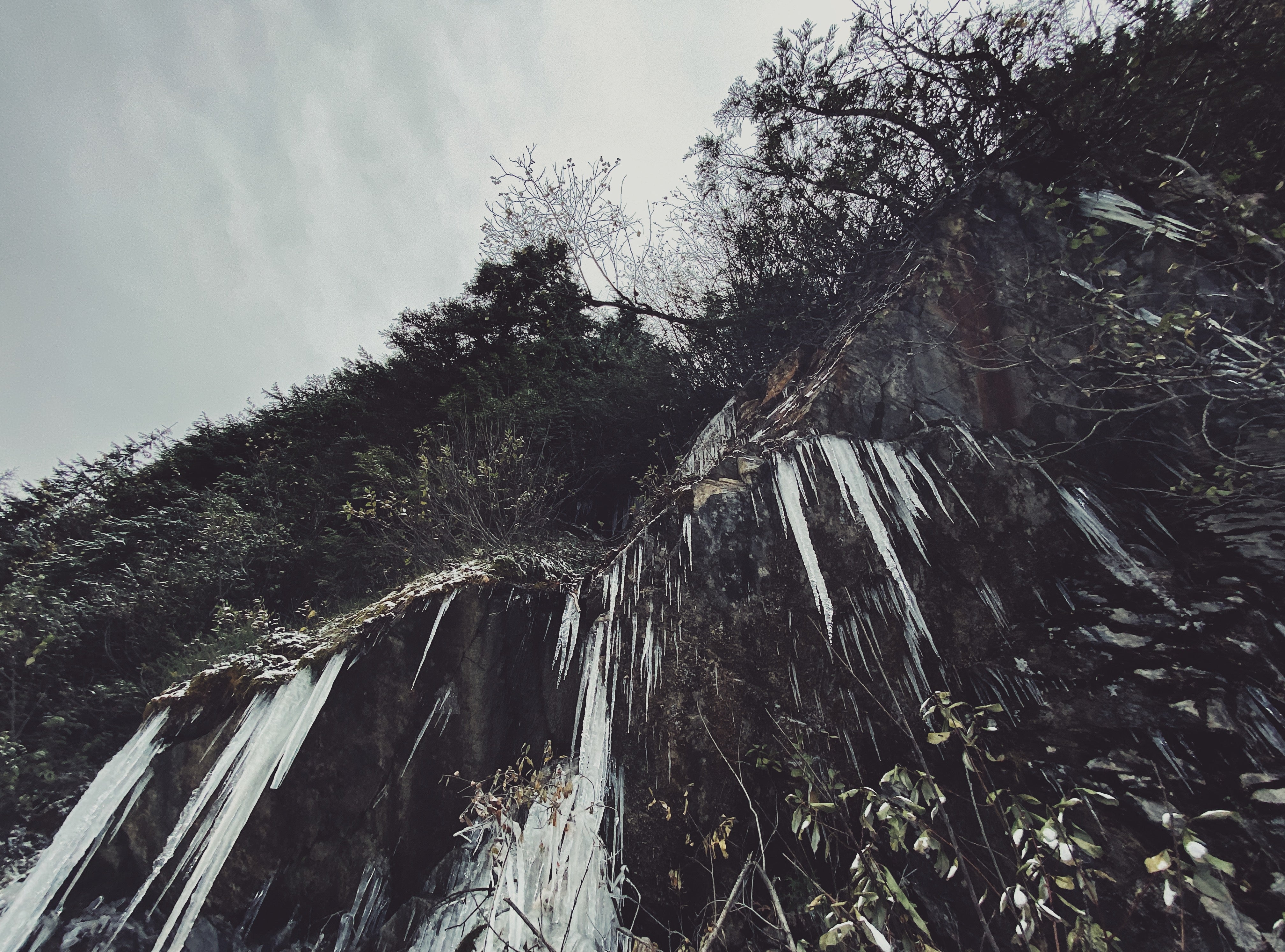 Roadside Icicles 1