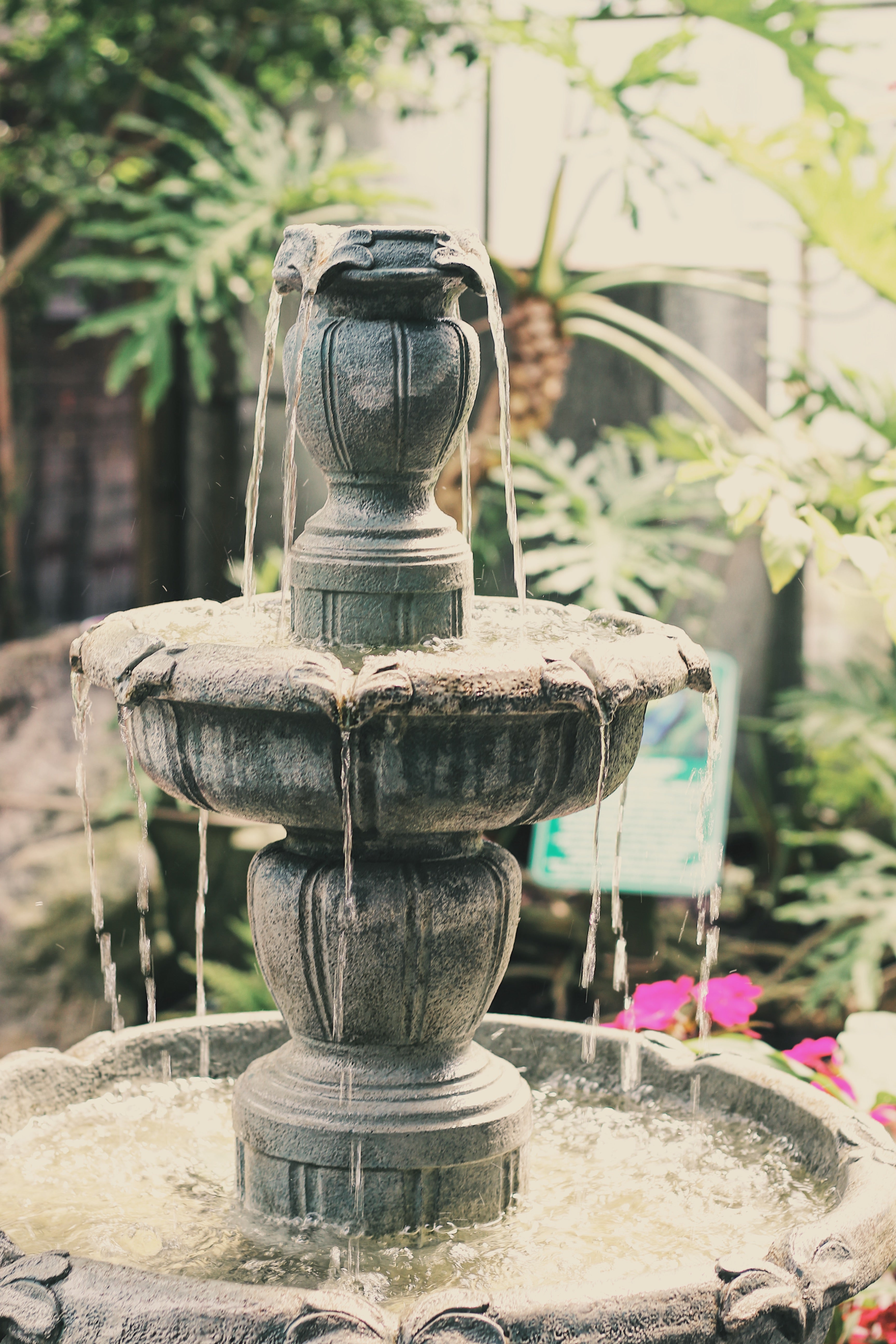 Tropical Fountain